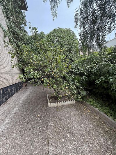 Image No.11-Villa de 4 chambres à vendre à Elda