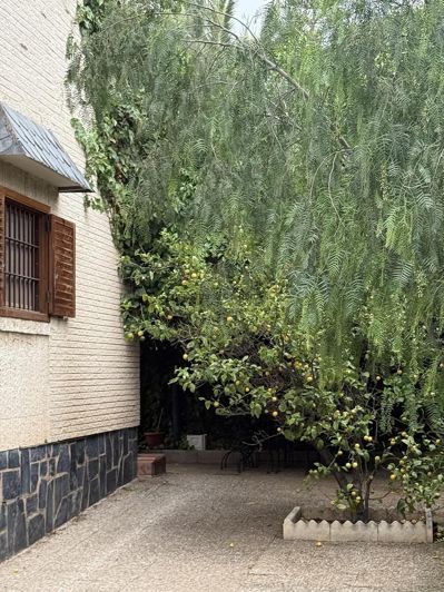 Image No.12-Villa de 4 chambres à vendre à Elda