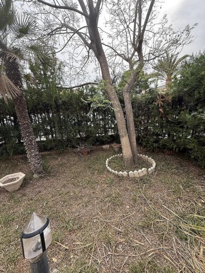 Image No.45-Villa de 4 chambres à vendre à Elda