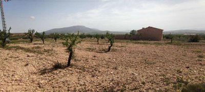 29689-country-house-for-sale-in-pinoso-182169