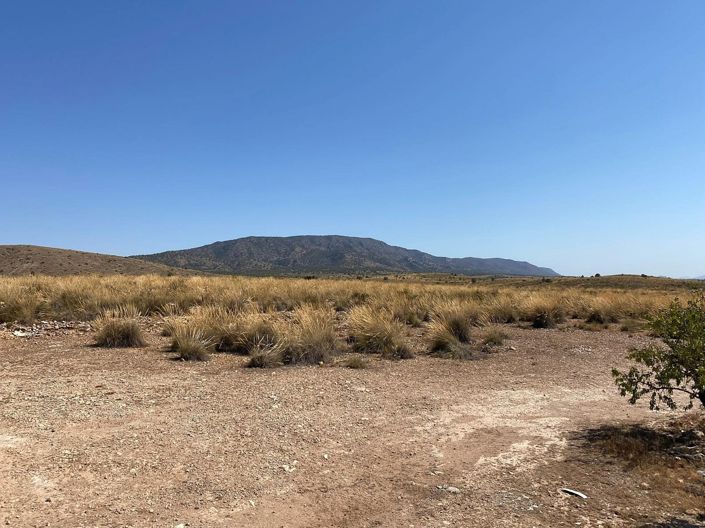 Image No.5-Villa de 3 chambres à vendre à Pinoso