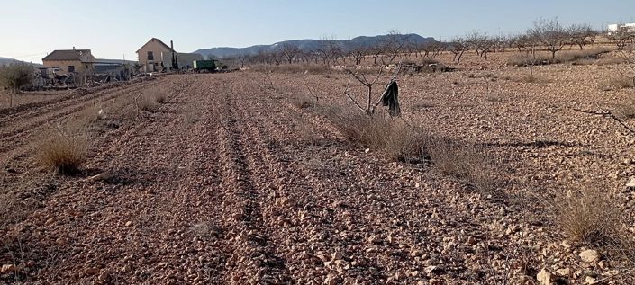 Image No.21-Finca de 4 chambres à vendre à Pinoso