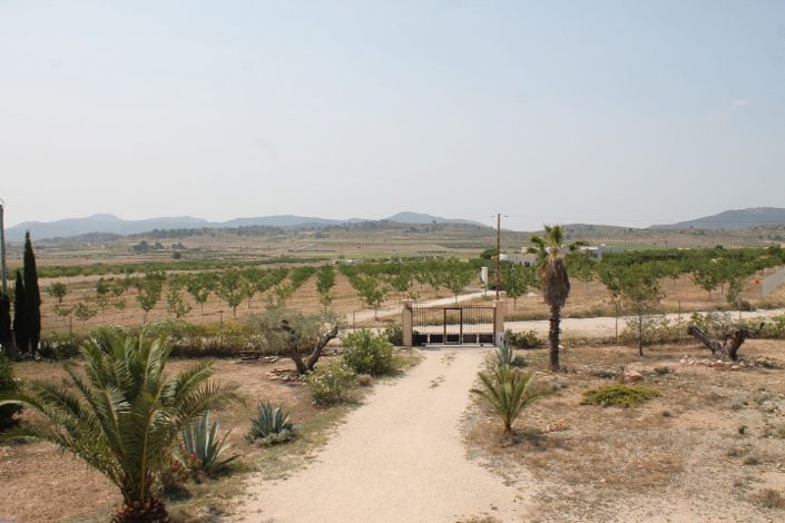 Image No.23-4 Bed Finca for sale