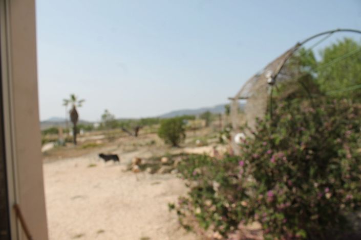 Image No.28-4 Bed Finca for sale