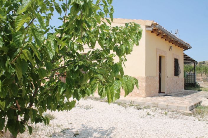 Image No.9-Finca de 4 chambres à vendre à Pinoso