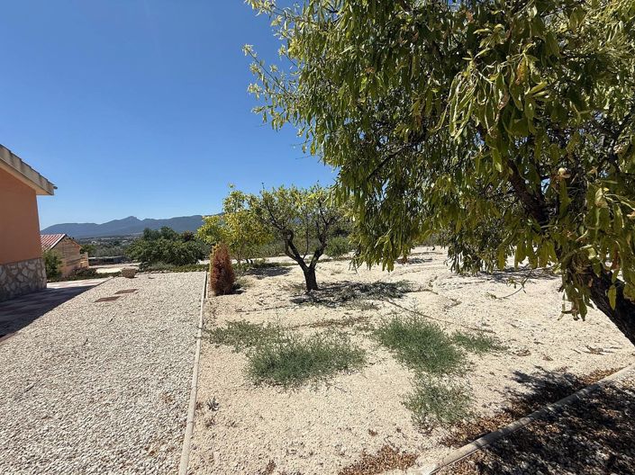 Image No.24-Maison de campagne de 5 chambres à vendre à Castalla