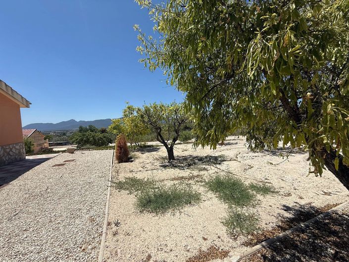 Image No.24-5 Bed Country House for sale