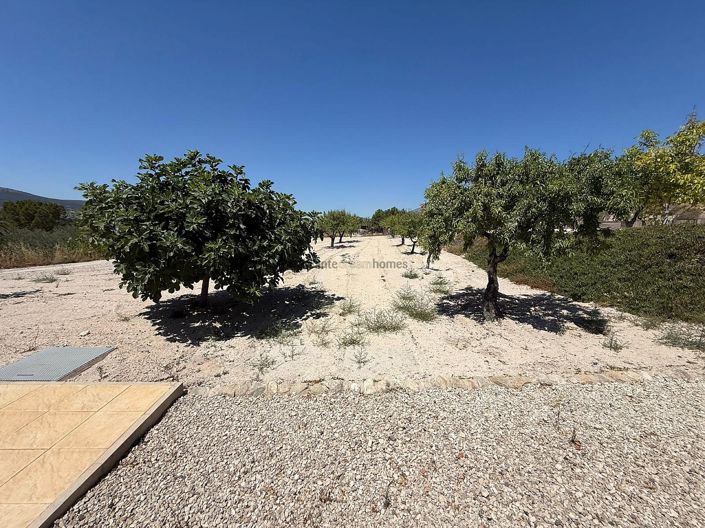 Image No.25-5 Bed Country House for sale