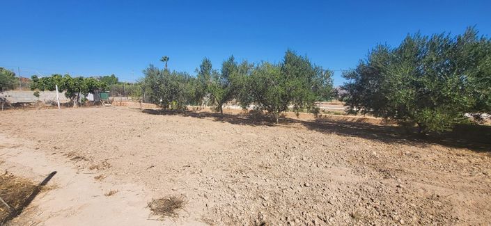 Image No.19-4 Bed Villa for sale