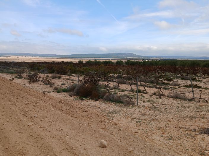 Image No.11-Land for sale