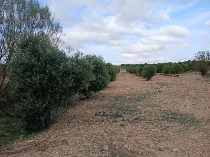 Image No.4-Land for sale
