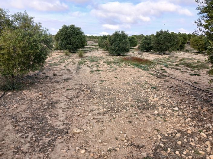 Image No.5-Land for sale