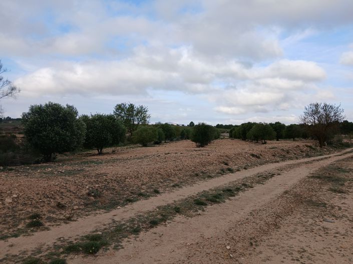 Image No.7-Land for sale