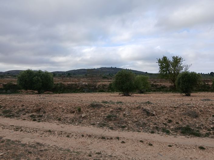 Image No.8-Land for sale