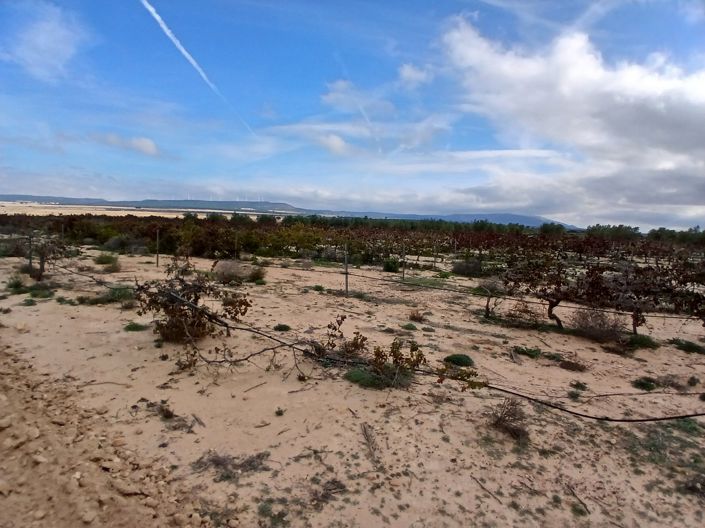 Image No.9-Land for sale