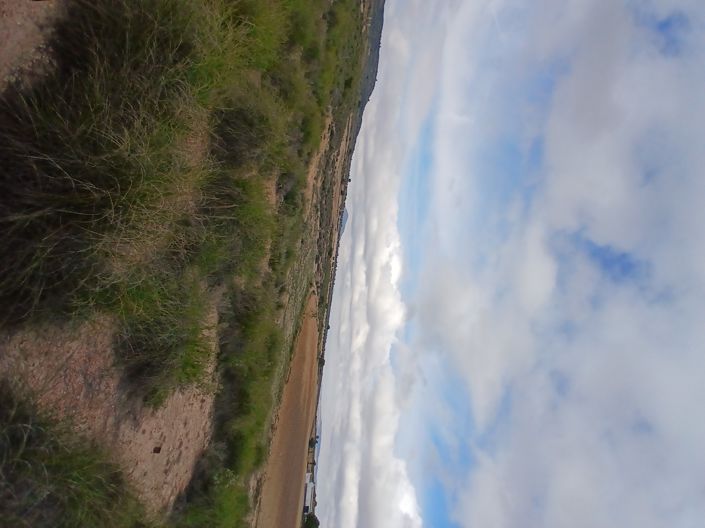 Image No.11-Terre à vendre à Yecla