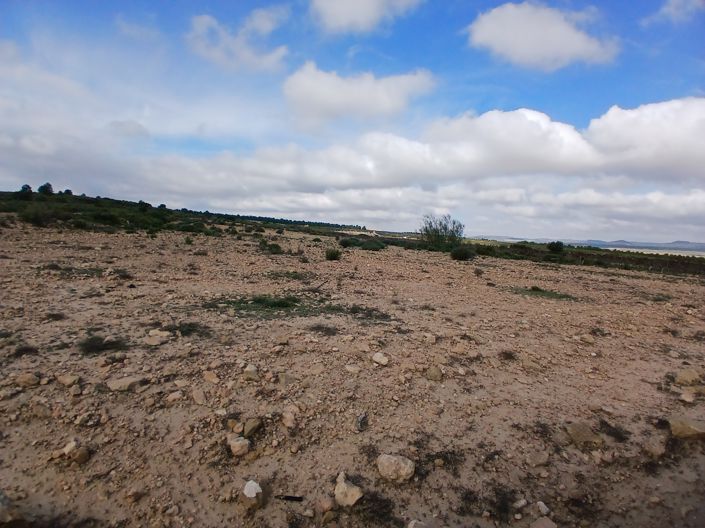 Image No.16-Terre à vendre à Yecla