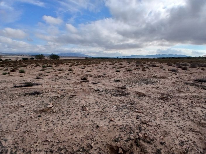 Image No.19-Terre à vendre à Yecla
