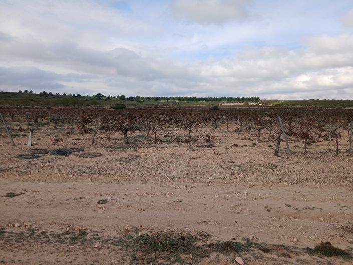 Image No.21-Land for sale