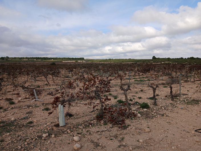 Image No.23-Land for sale