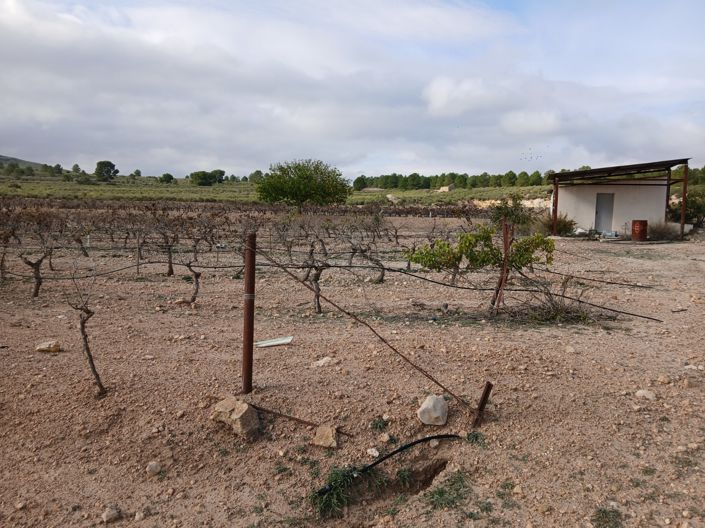 Image No.26-Land for sale