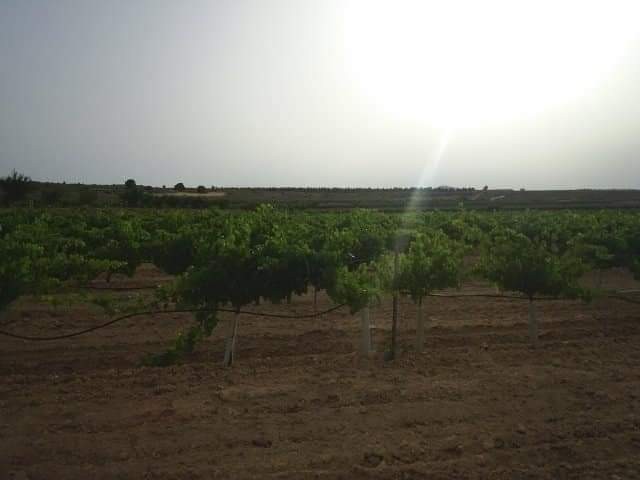 Image No.3-Land for sale
