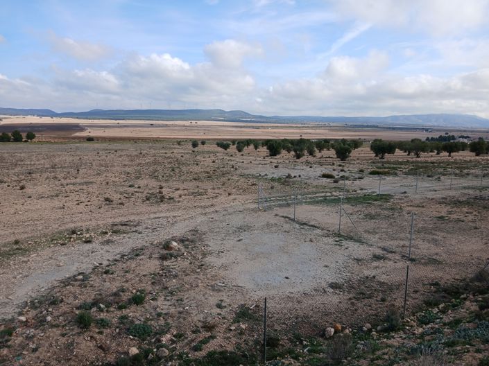 Image No.30-Terre à vendre à Yecla