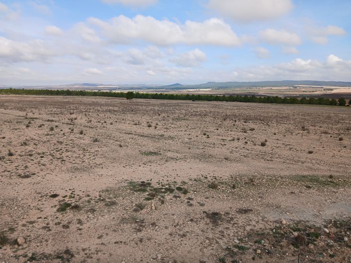 Image No.31-Terre à vendre à Yecla