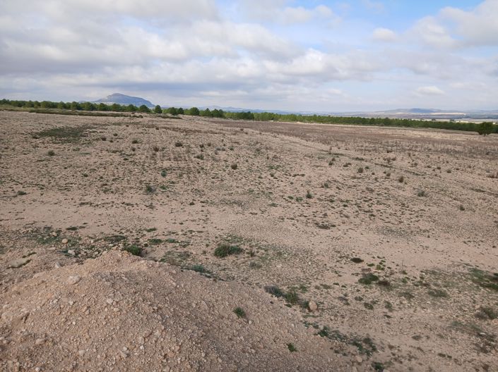 Image No.32-Terre à vendre à Yecla