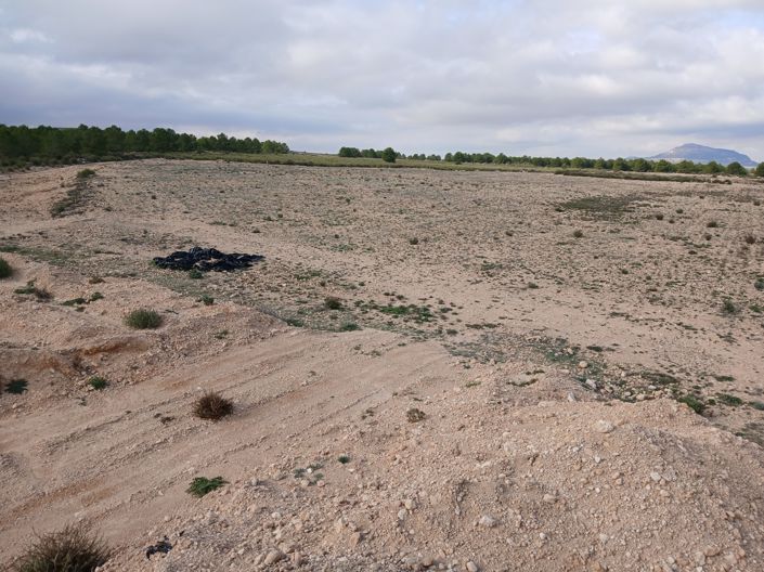 Image No.33-Terre à vendre à Yecla