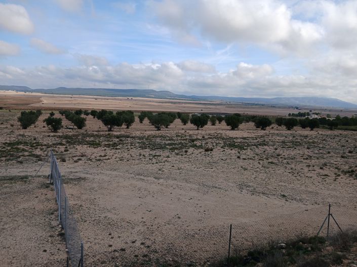 Image No.35-Terre à vendre à Yecla