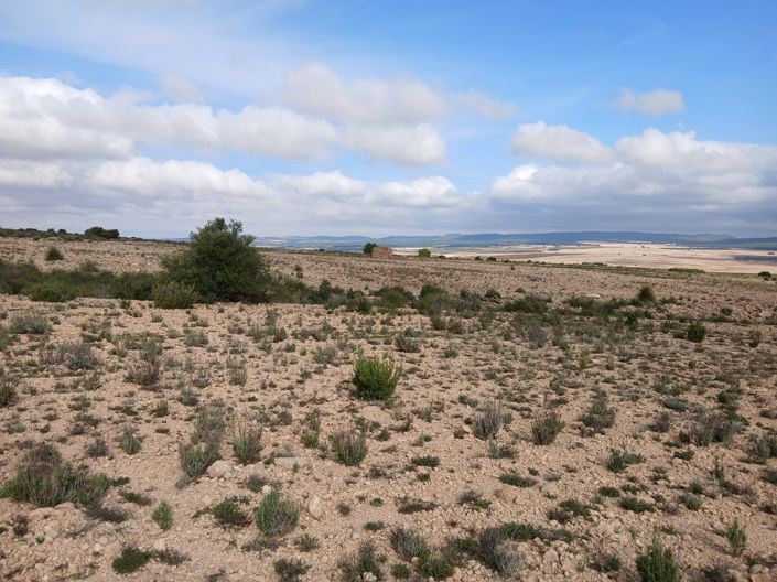 Image No.4-Land for sale