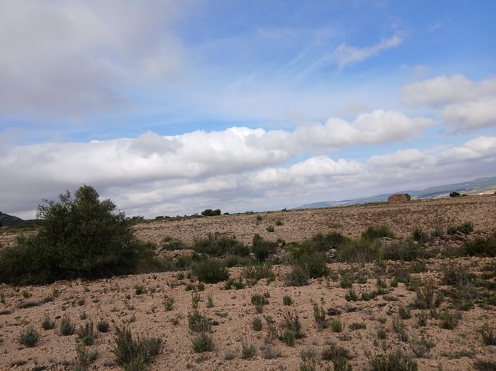 Image No.8-Land for sale