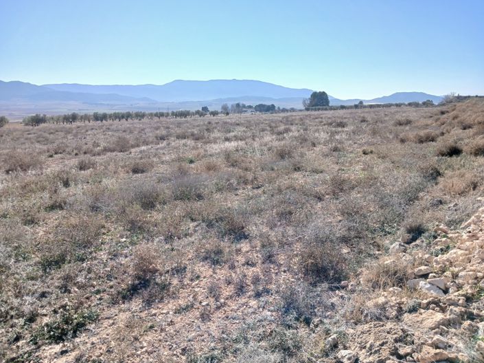 Image No.8-Land for sale