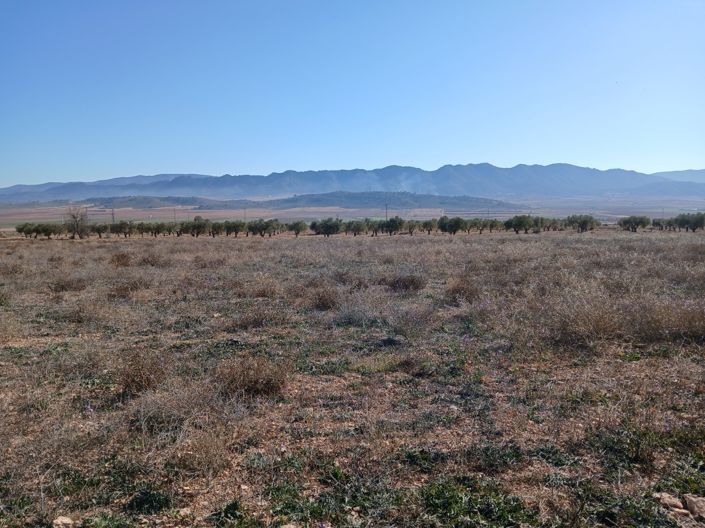 Image No.9-Land for sale