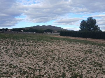 1 - Yecla, Land