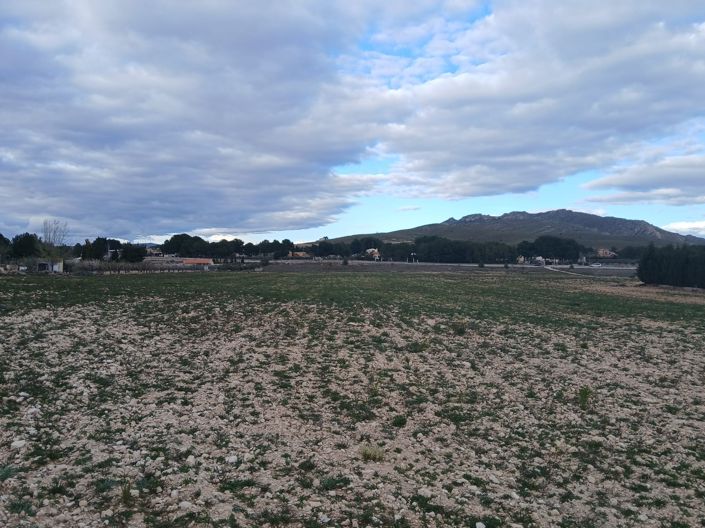 Image No.2-Land for sale