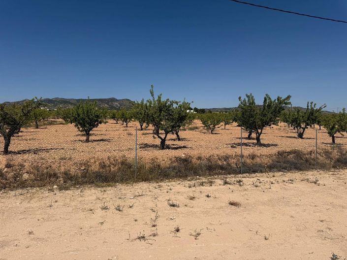 Image No.9-Villa de 3 chambres à vendre à Pinoso