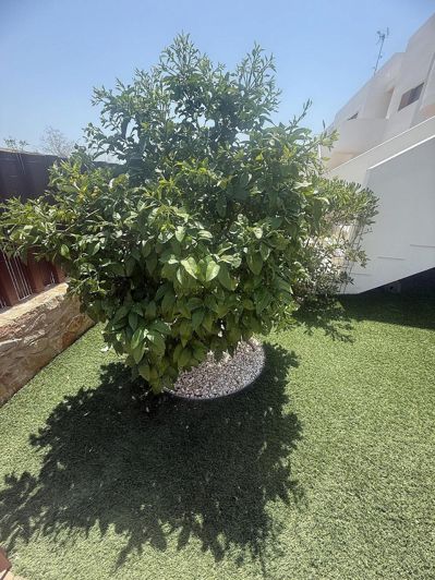 Image No.28-2 Bed Apartment for sale