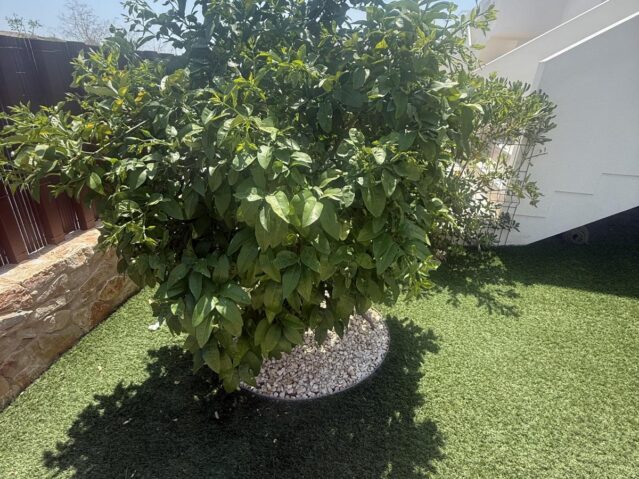 Image No.3-2 Bed Apartment for sale