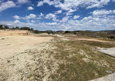 wisutus78umnmmgx3w7aa