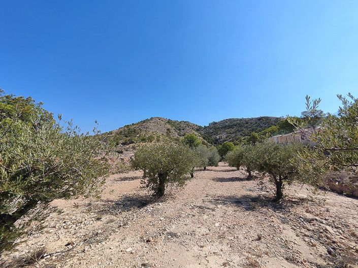 Image No.13-4 Bed Villa for sale