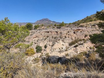 wxyg6a7q7ncd0sy0gy28d