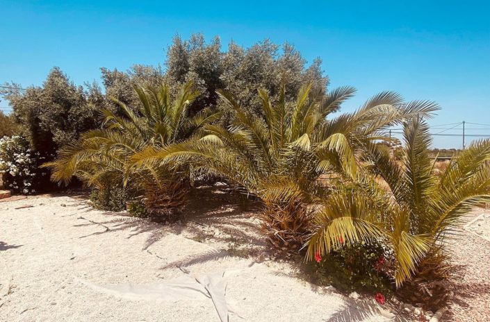 Image No.8-4 Bed Villa for sale