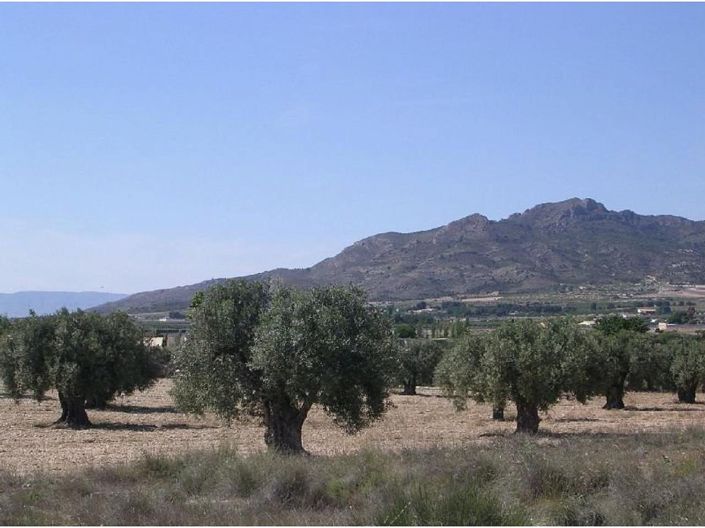 Image No.2-Land for sale