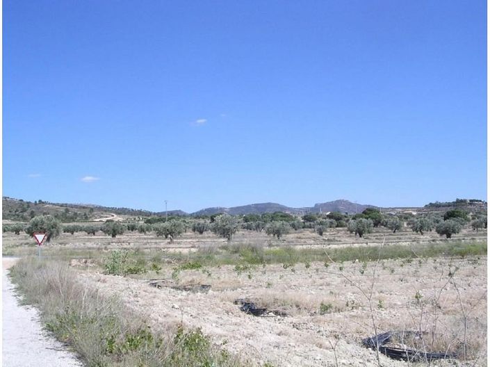 Image No.3-Land for sale