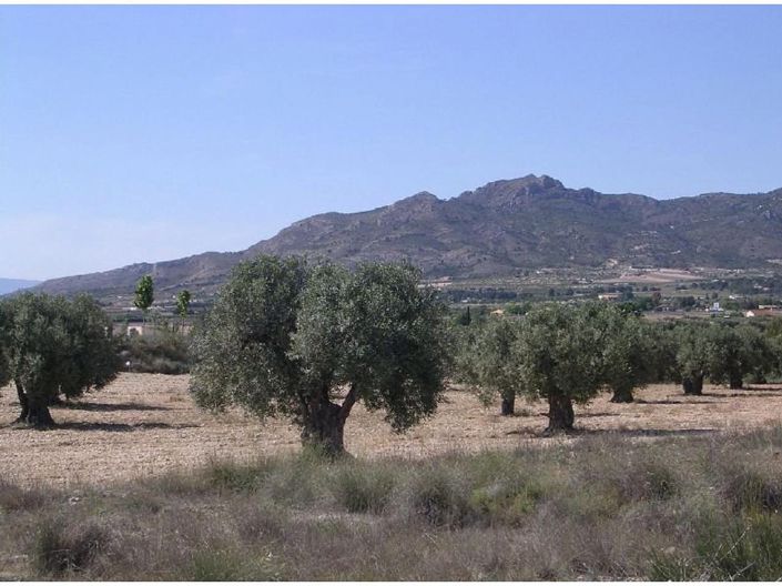 Image No.4-Land for sale