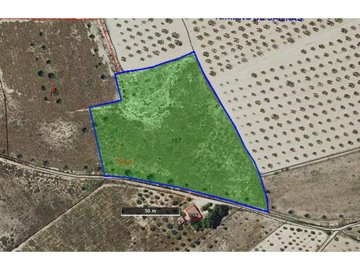 Land for sale