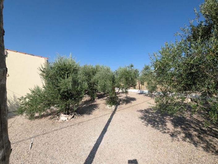 Image No.30-3 Bed Country House for sale