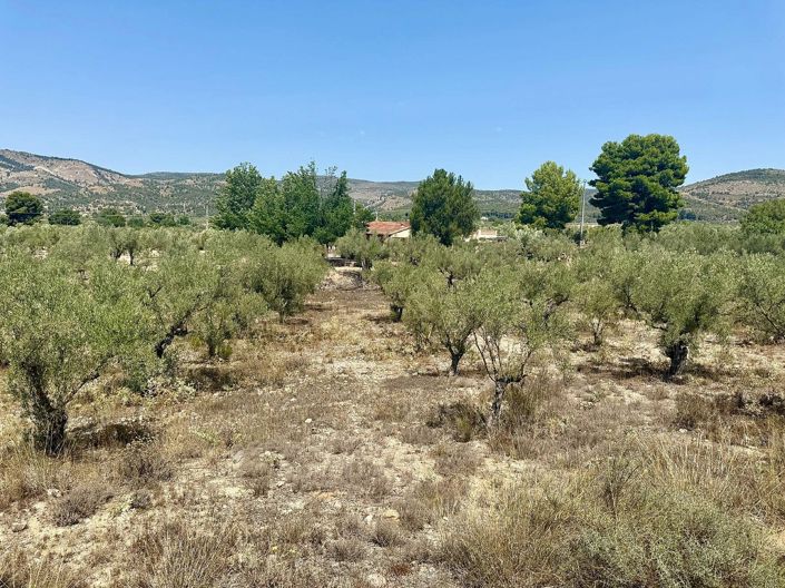 Image No.21-3 Bed Villa for sale